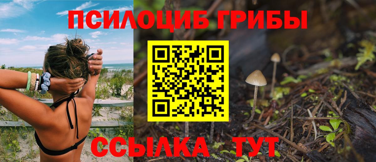 Галлюциногенные грибы ЛСД  Псилоцибиновые грибы прущие грибы  Вход с VPN  Светлоград 